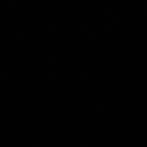 Meet your Posher, Gianna